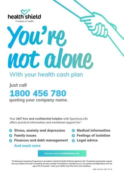EAP Poster Youre Not Alone non UK - IRELAND SL